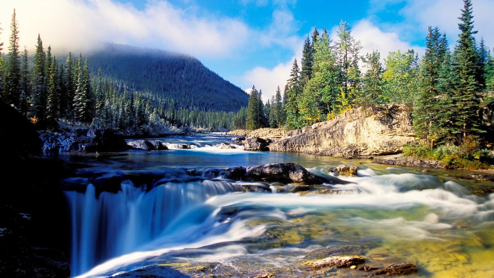 Nature scenery forest thick spruce river rocks waterfalls mountain 2k
