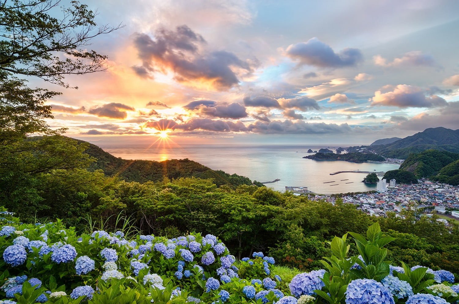 purple clustered flowers Japan sunset cityscape sea hills 2k