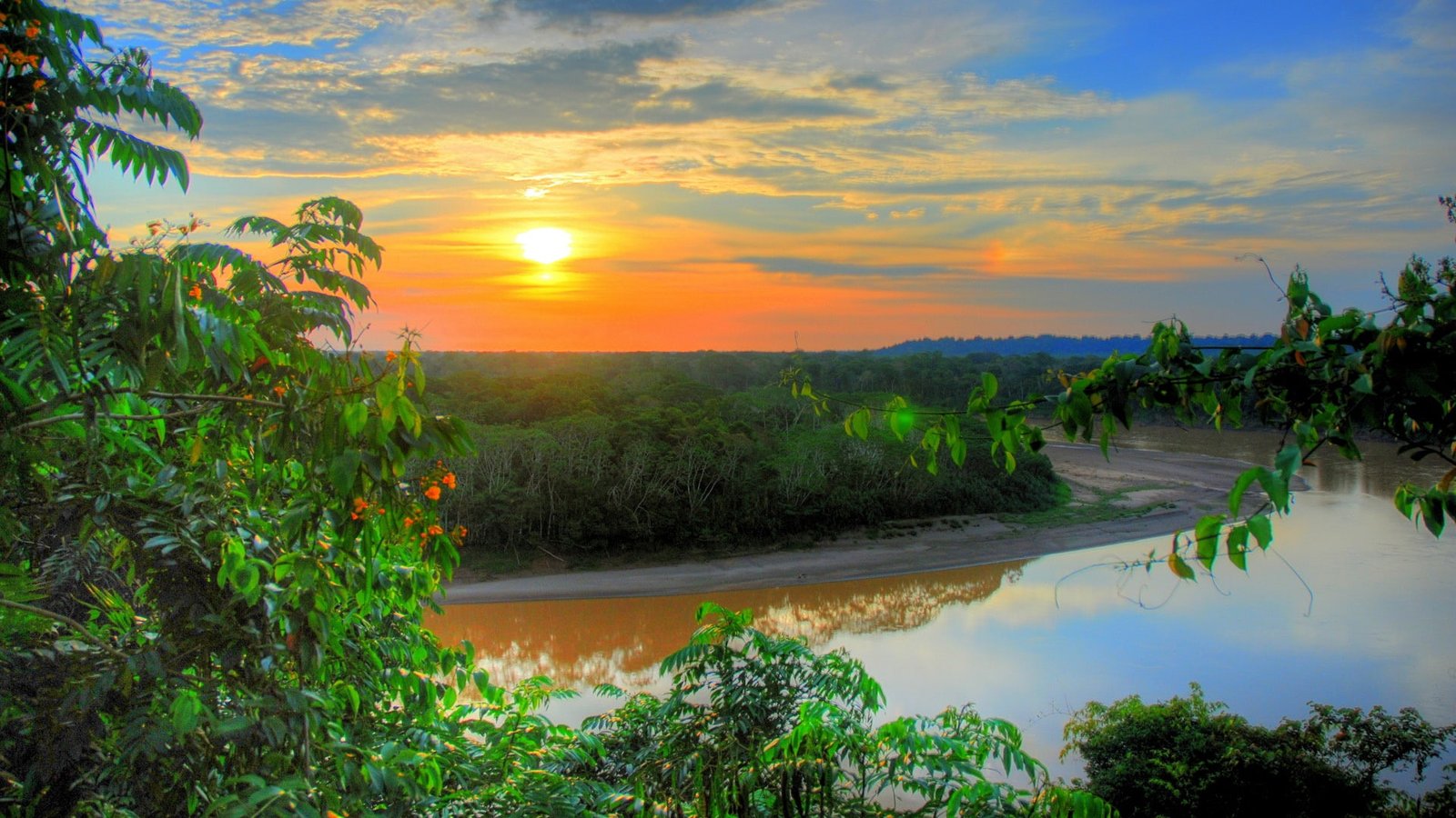 amazon river rainforest tropical forest tropics landscape 2k