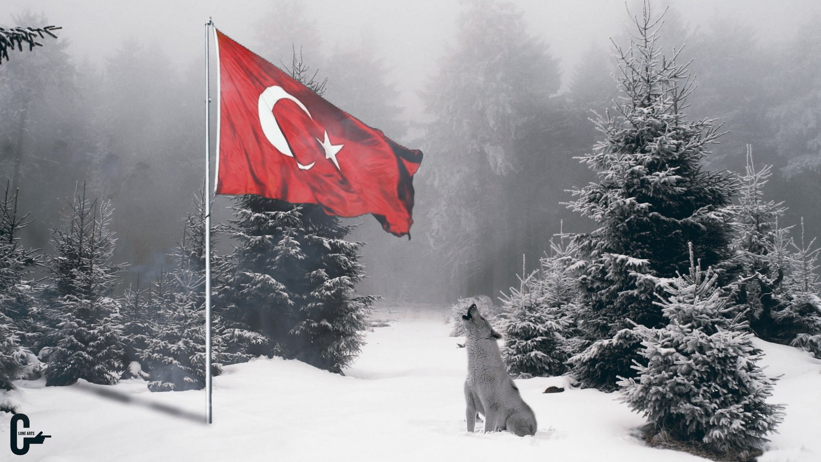 bozkurt wolf snow forest nature tree winter flag cold temperature 2k