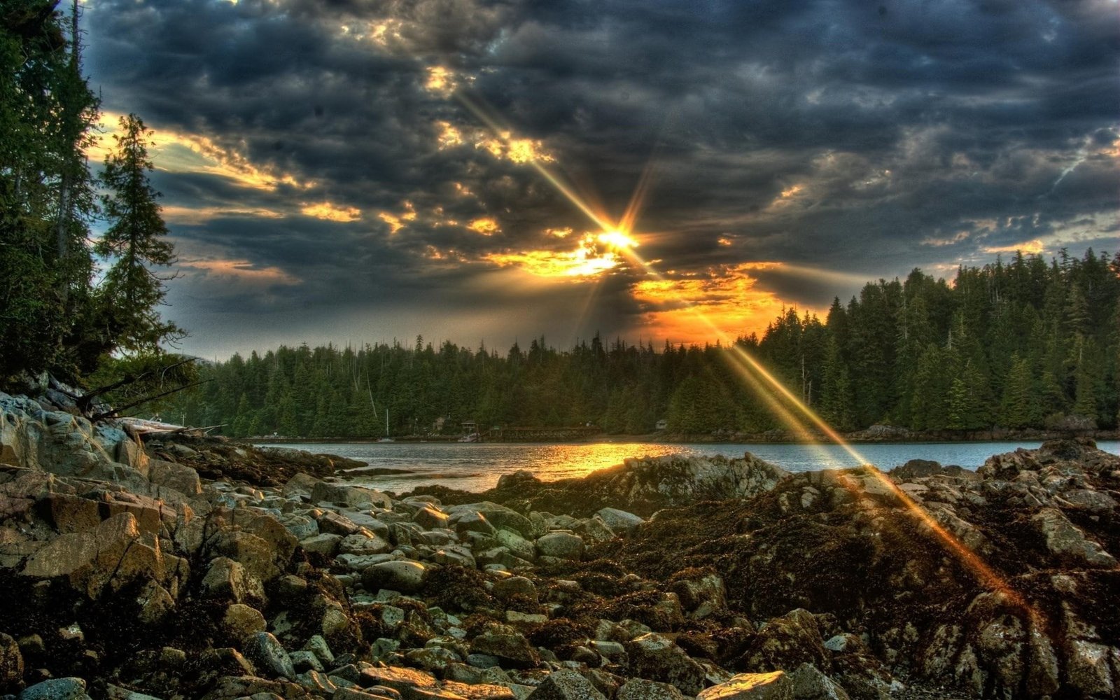 nature high resolution 2k