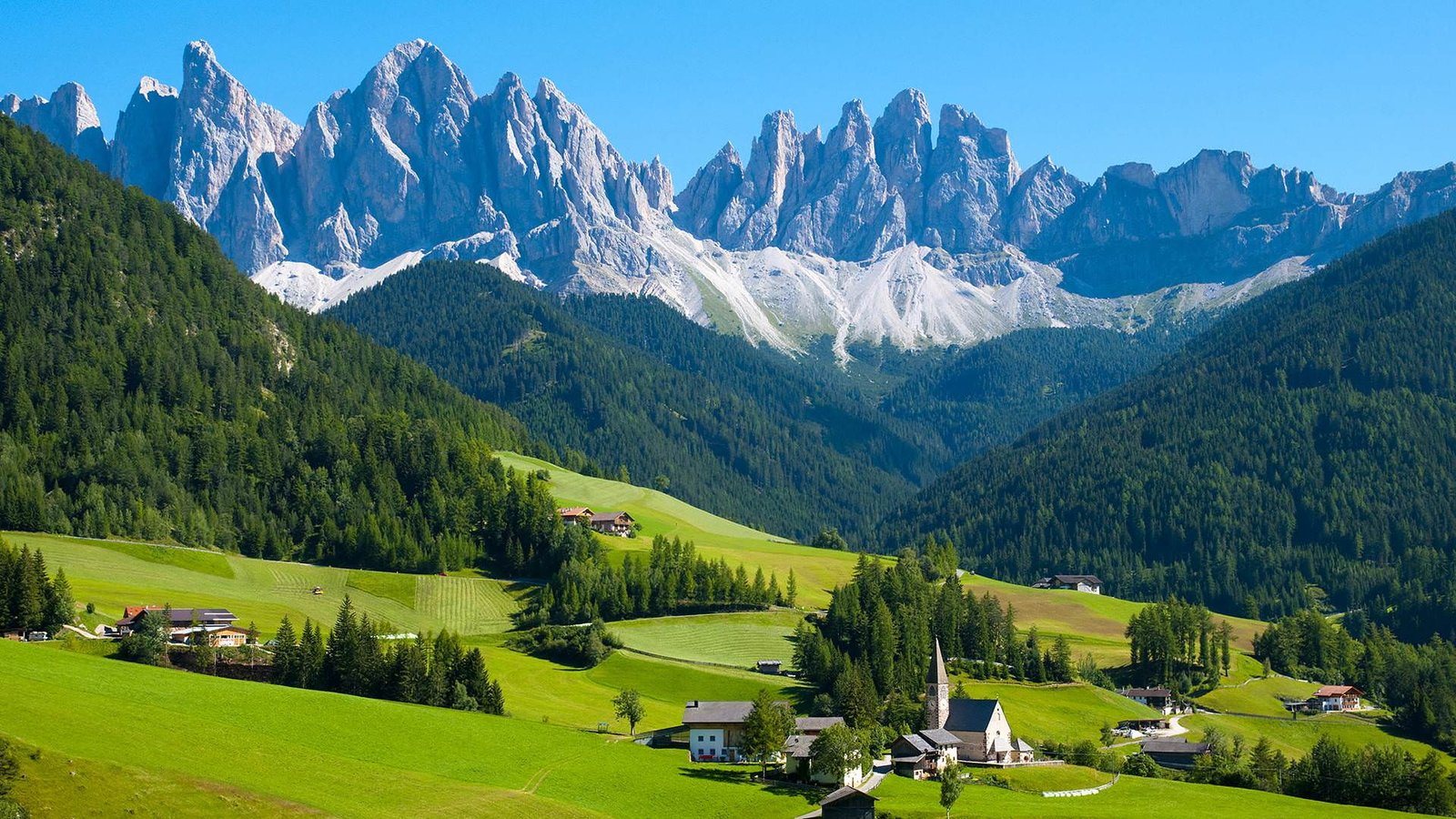 Switzerland A Beauty You Wanna Visit once in a Lifetime plant 2k