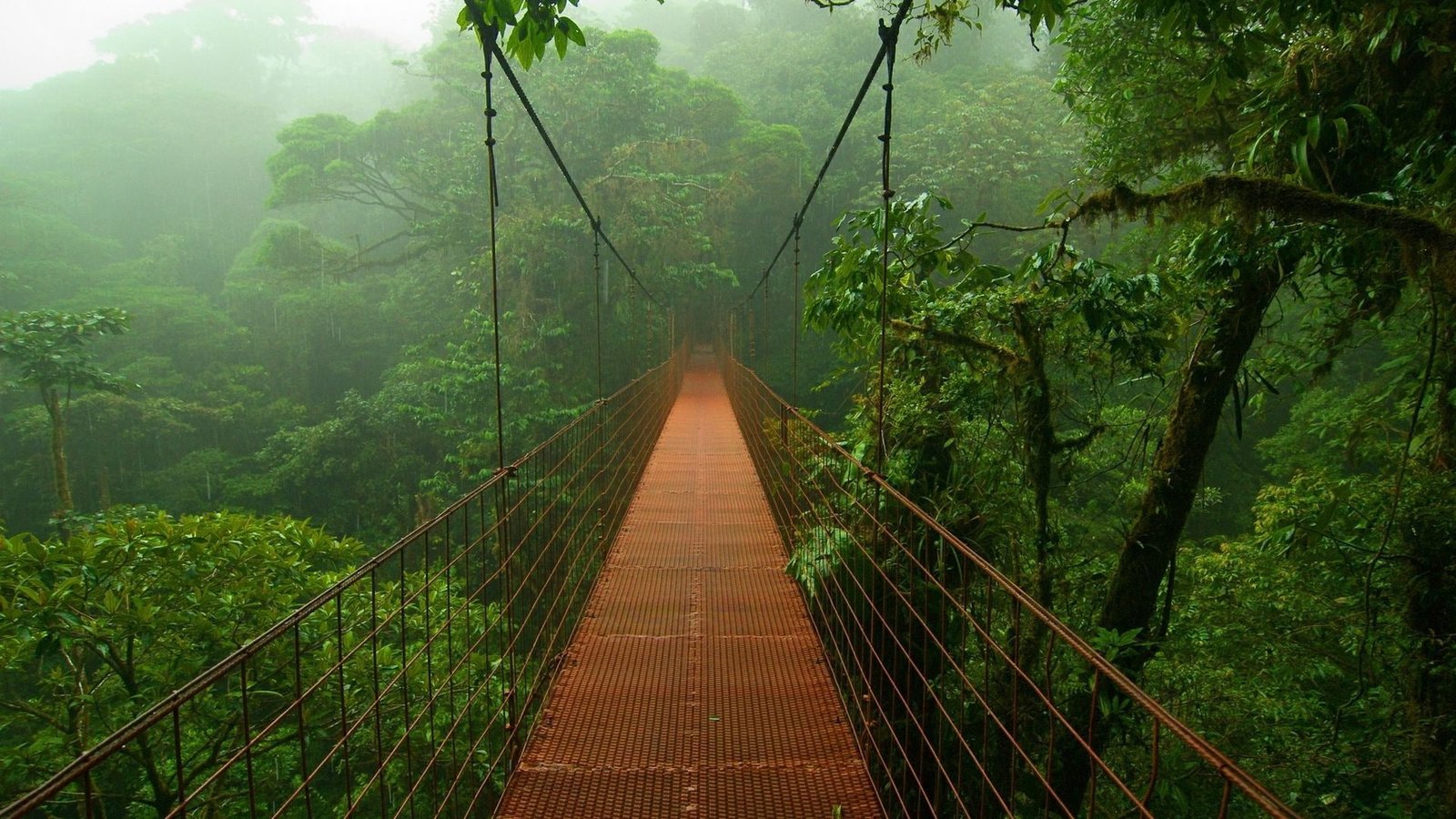 bridge nature suspension structure track architecture 2k