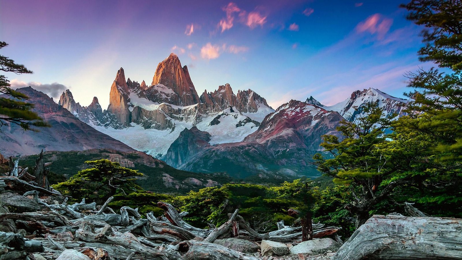 fitz roy mountain peak forest argentina patagonia daylight 2k