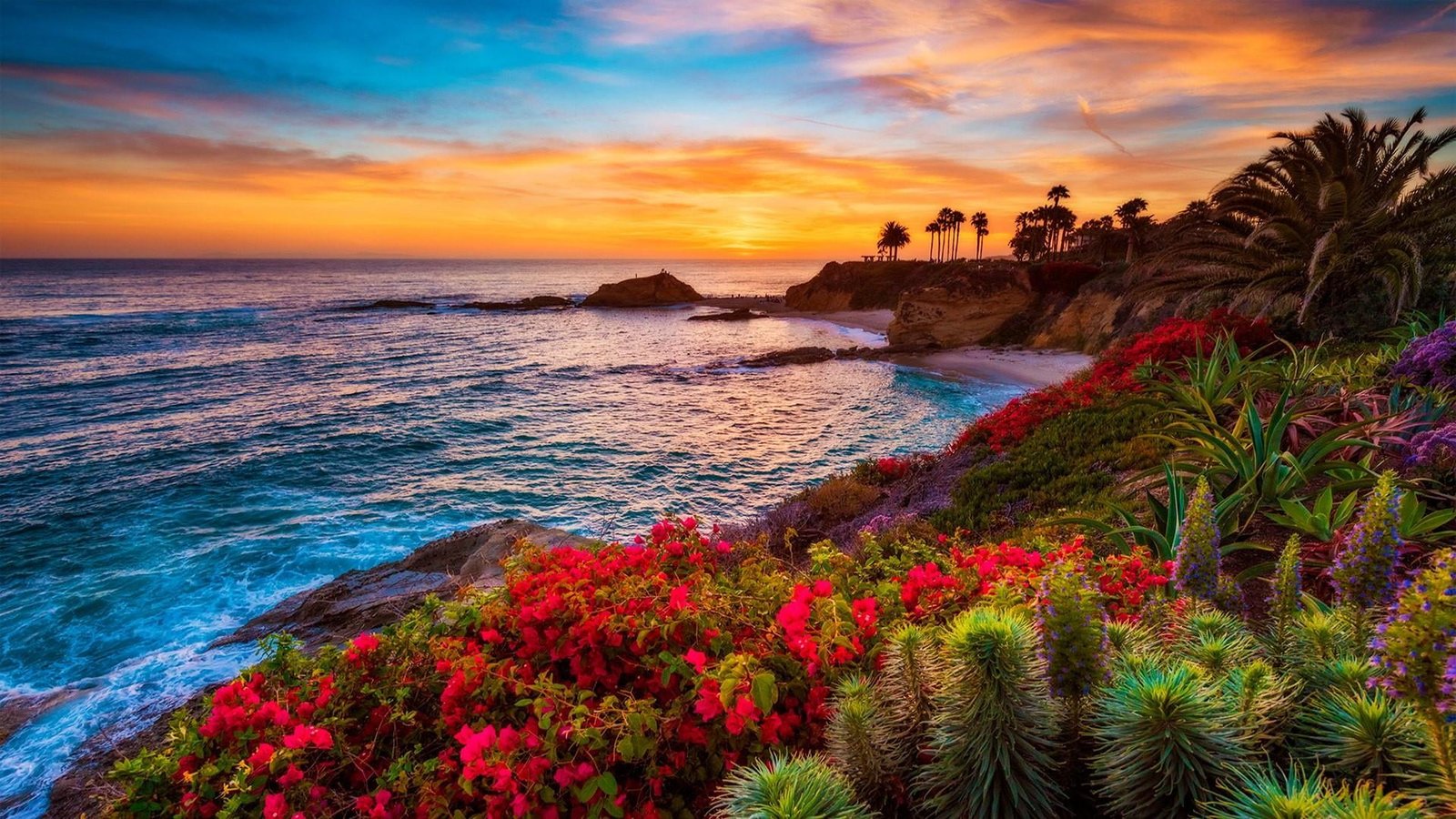 flowers palm bushes coast horizon sea tropics summer 2k
