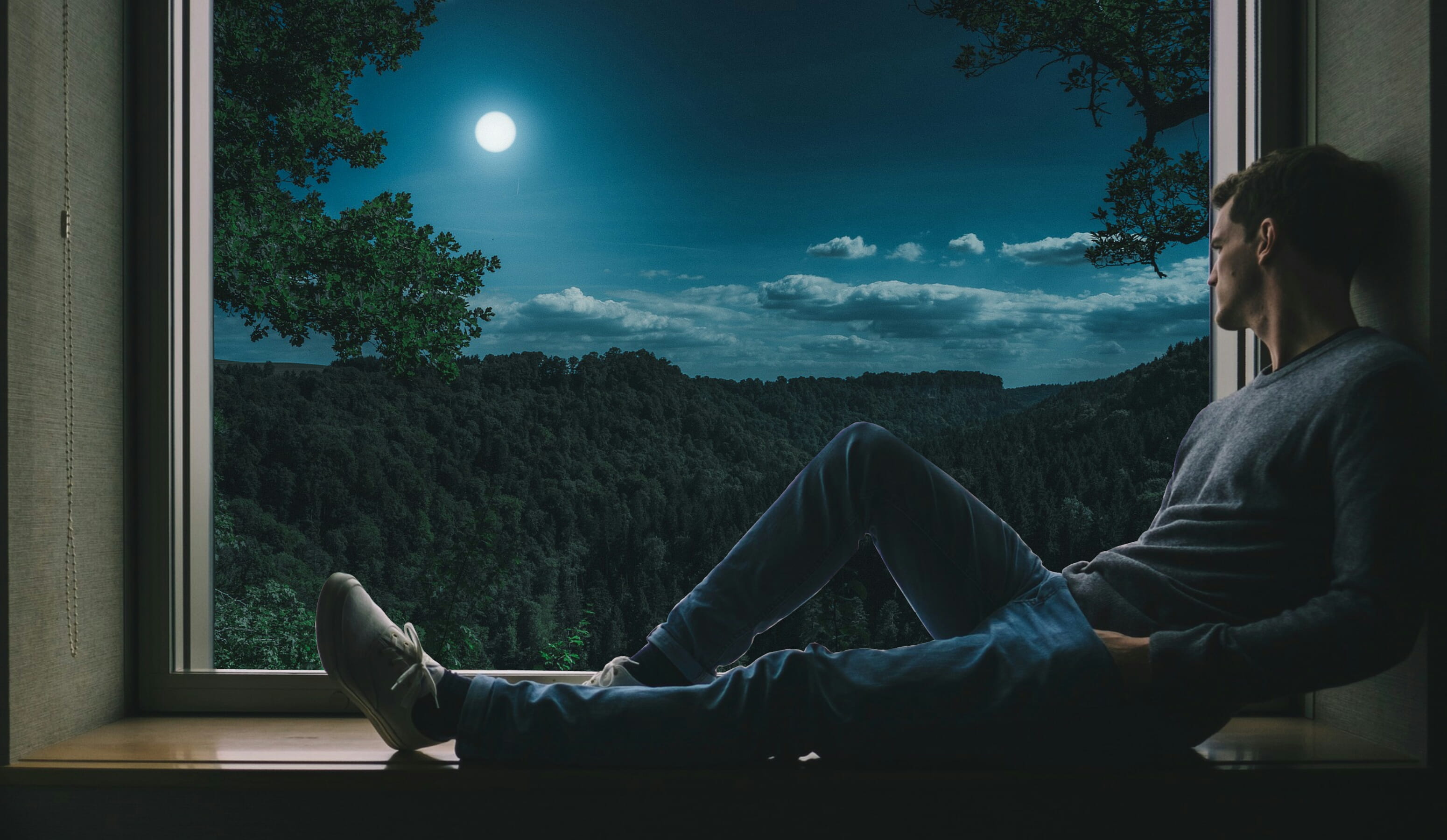 man person solo window alone thinking relax nature forest 2k