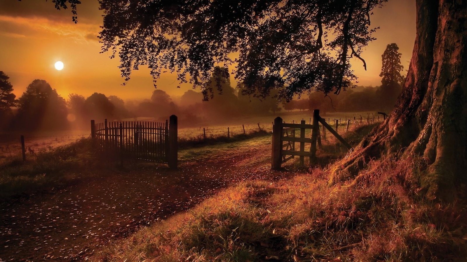 sunset grass mist landscape sky romantic autumn evening 2k