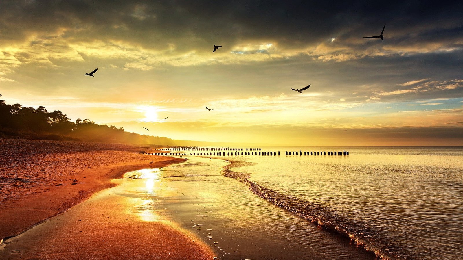 sunset sea gulls beach horizon waves 2k