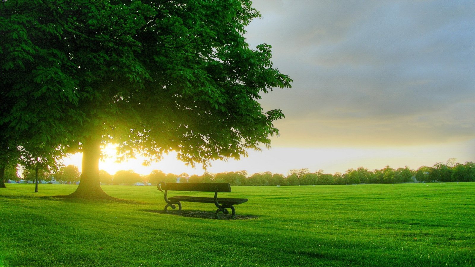widescreen high resolution nature hd 2k