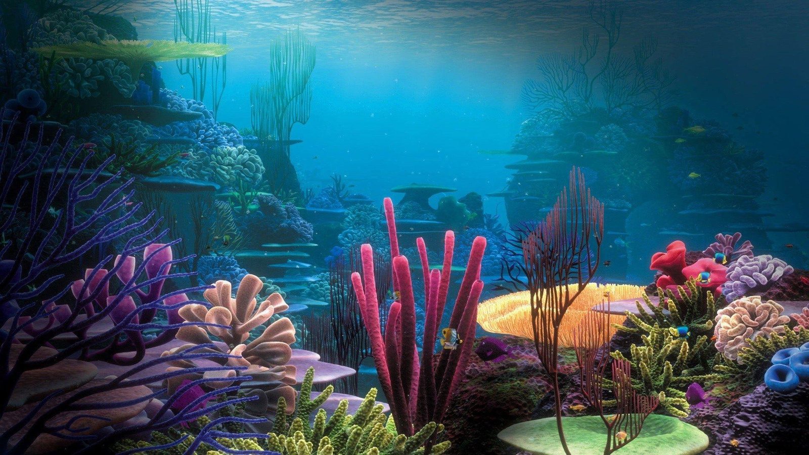Underwater Coral Reef nature oceans coral reefs and landscapes 2k