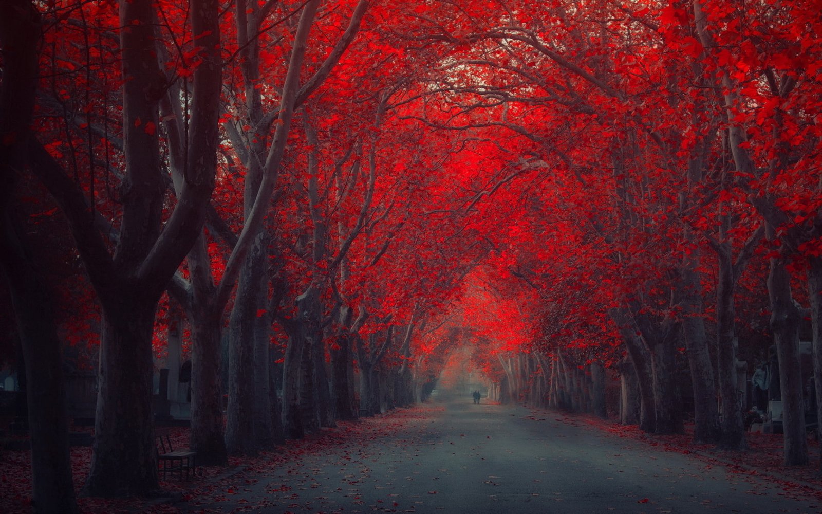 art artistic autumn colors couple emotion fall forests 2k