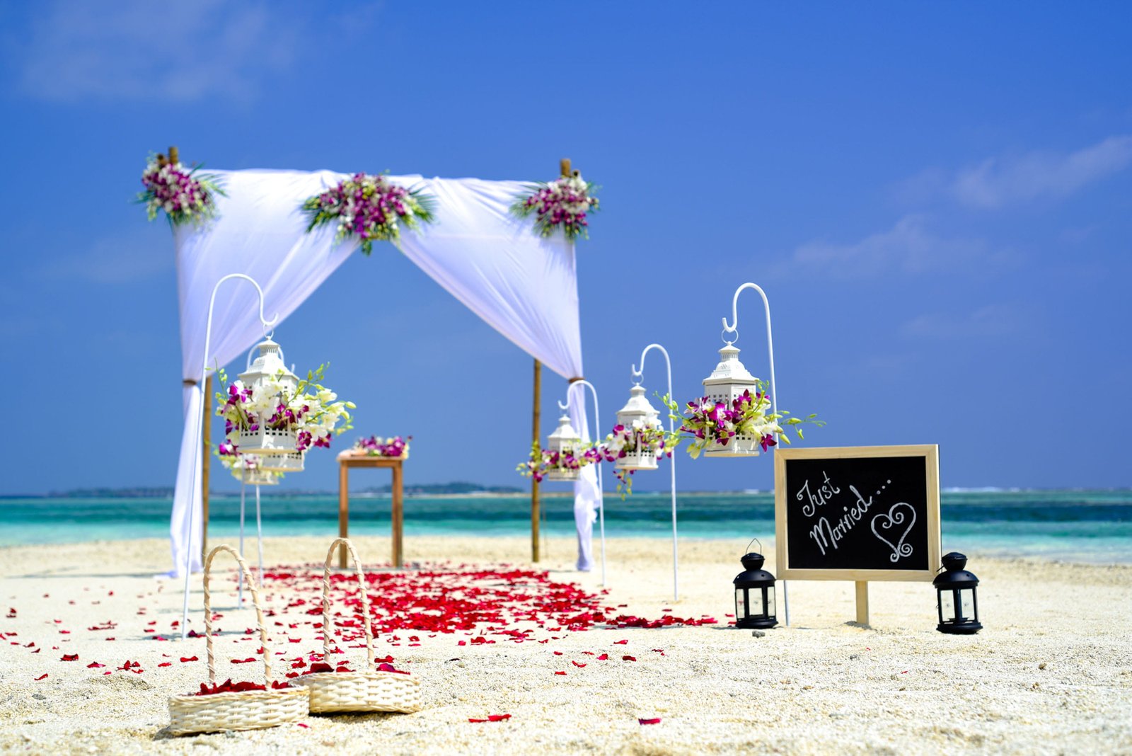 sea sky beach sand basket blue coast decorations flowers 2k