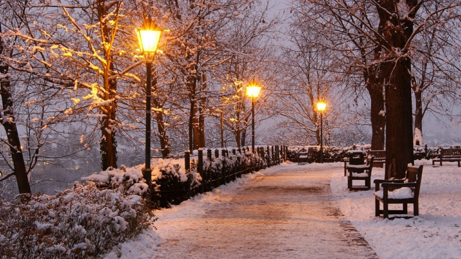 bench seat street lights park snow winter nature evening 2k