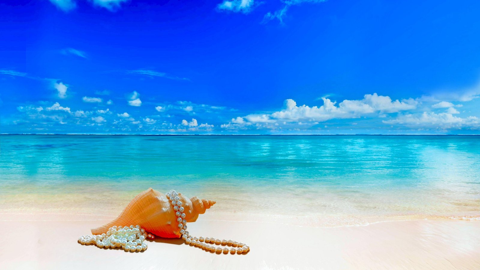 pearls shell seashore blue sky sea summer water 2k 4k