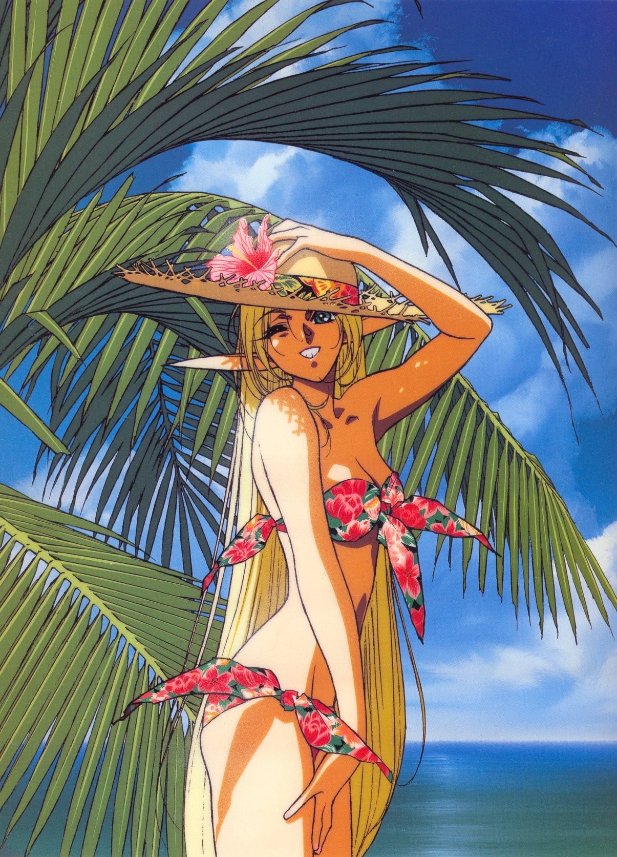 anime Record of Lodoss War palm tree tropical climate water