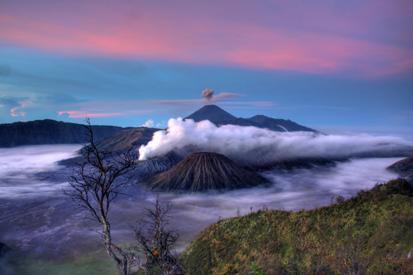 leafless tree and volcano view Gunung Bromo HDR crater 2k