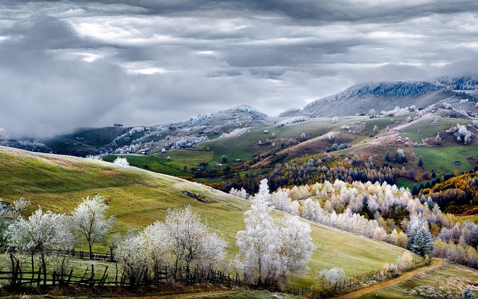 Nature Landscape Romania Fairy Tale Fall Road Mountain Trees 2k