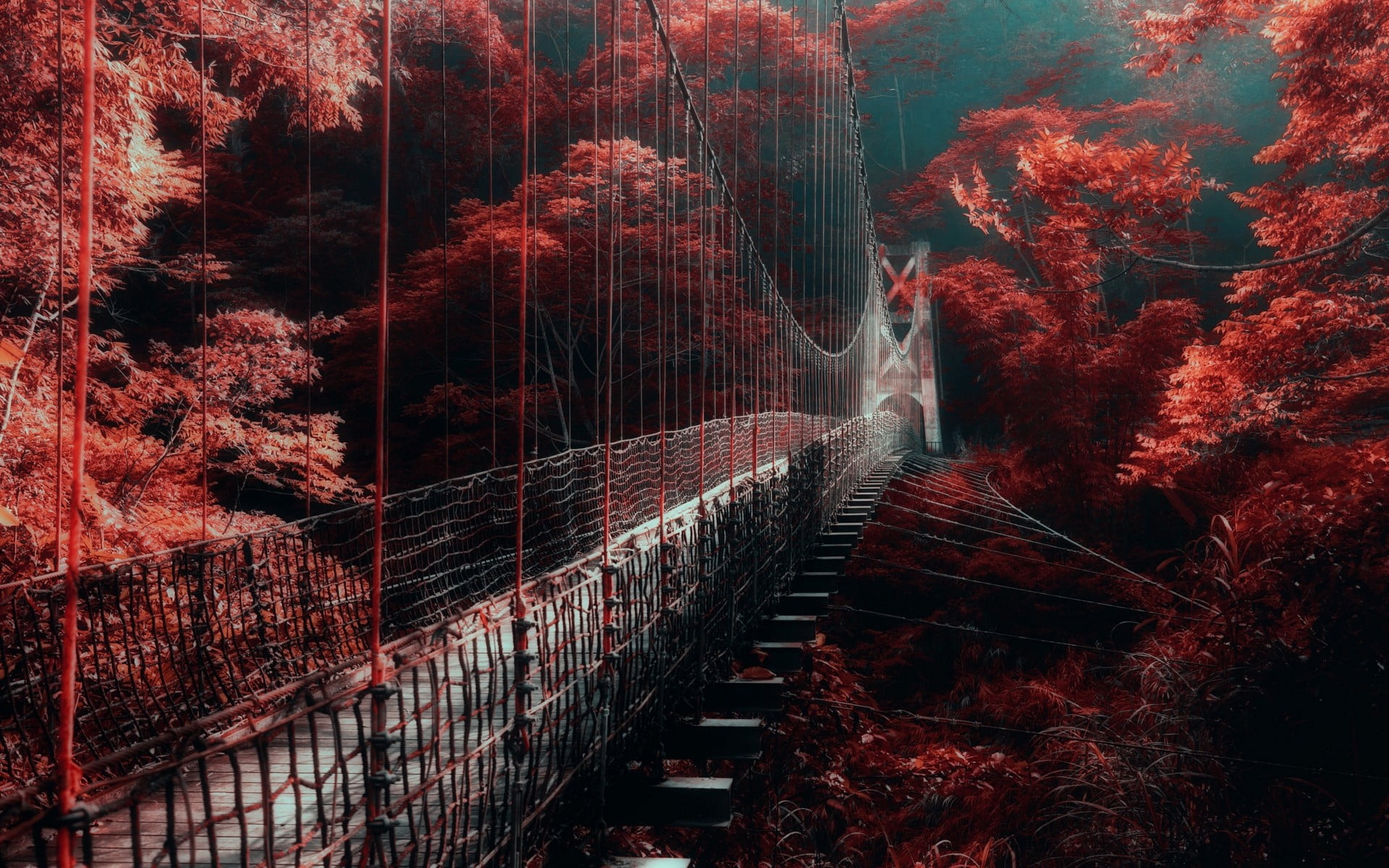 nature landscape red forest bridge mist trees walkway 2k
