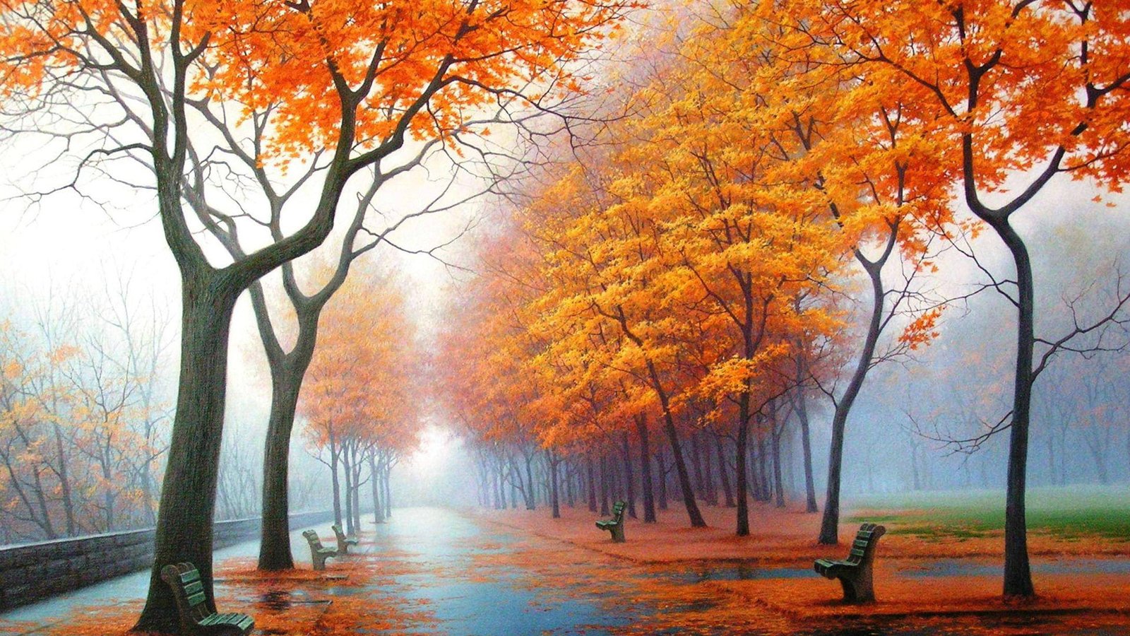nature november autumn maple fall season leaves leaf 2k