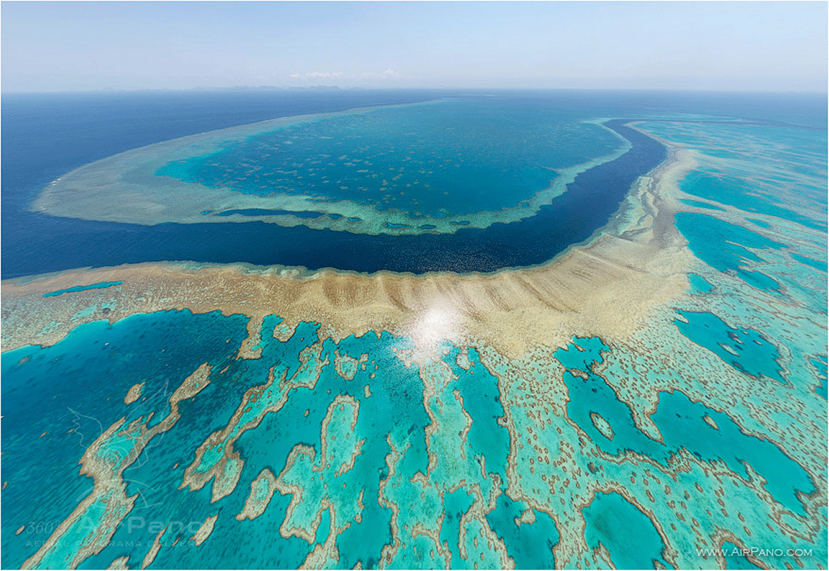 australia great Barrier Reef natural ocean sea water