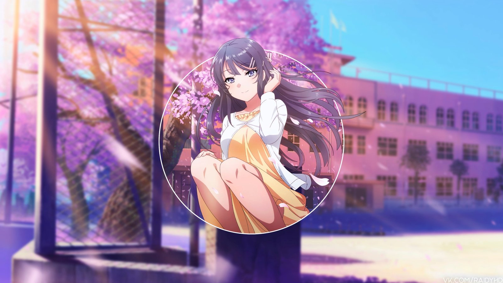anime girls picture in Seishun Buta Yarou wa Bunny Girl Senpai no Yume o Minai 2k 4k