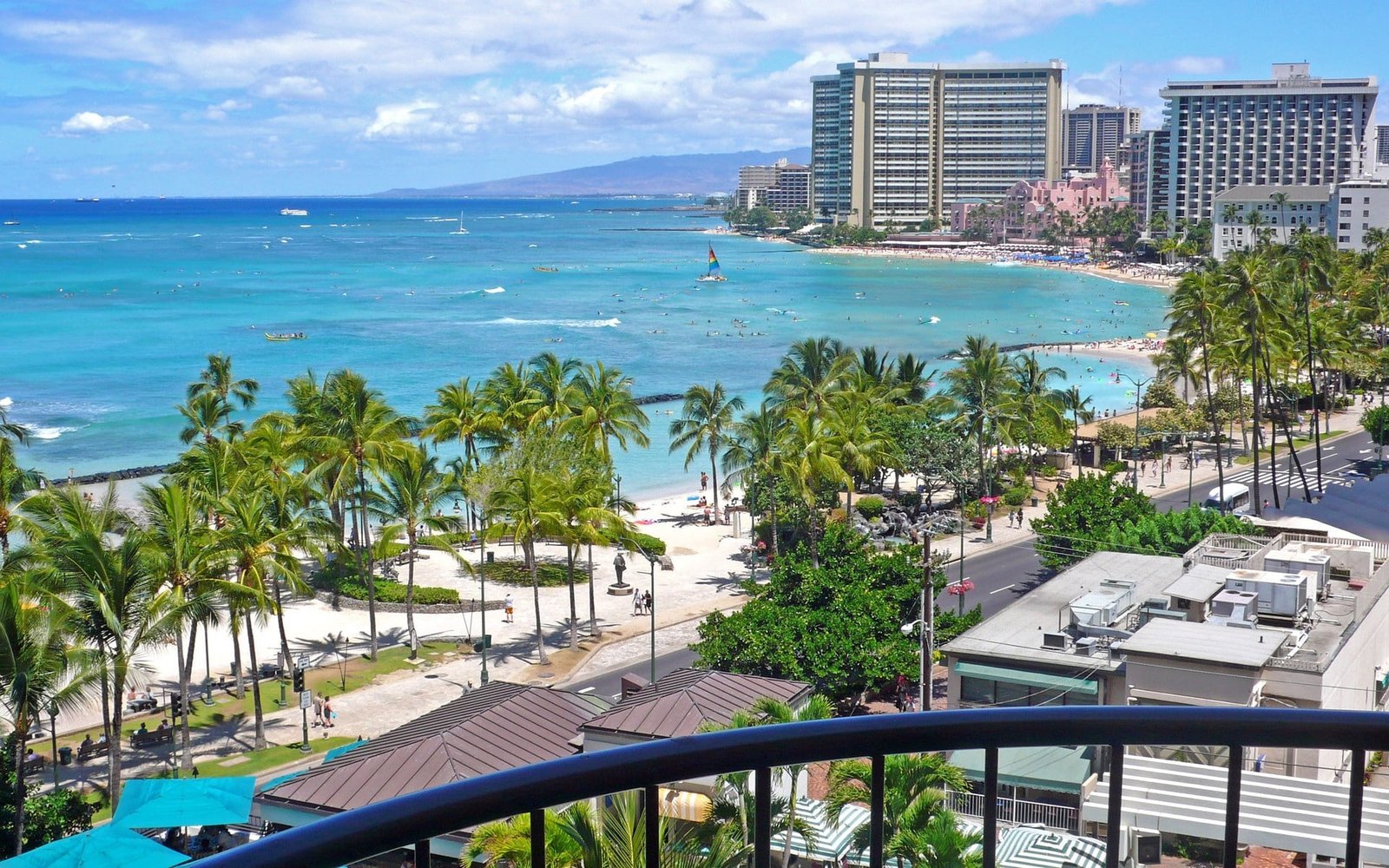 green coconut trees honolulu hawaii beach united states palm 2k