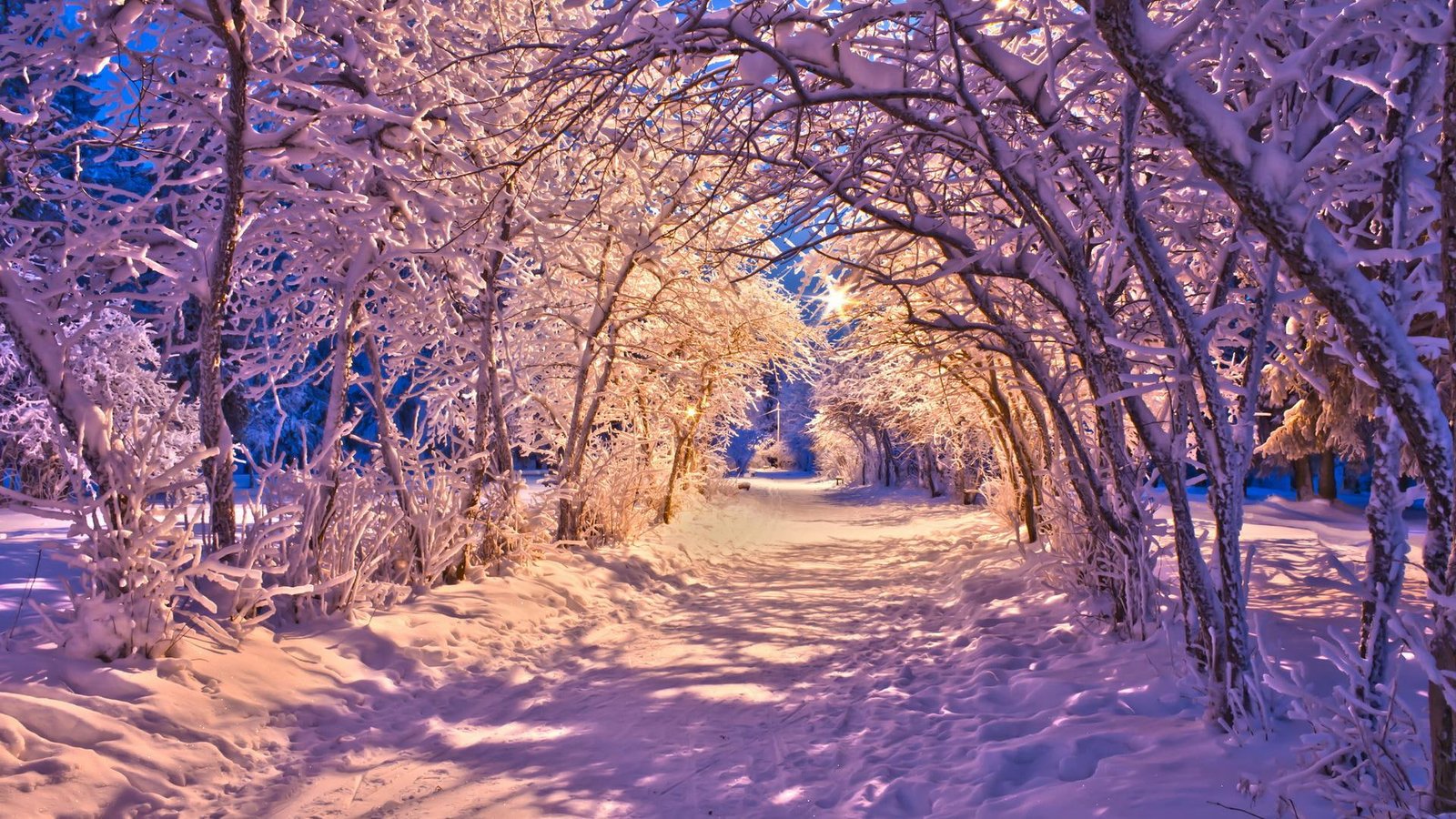 Nature Landscapes Winter Snow Christmas Sidewalk Roads Lights White Trees Desktop Images 2k