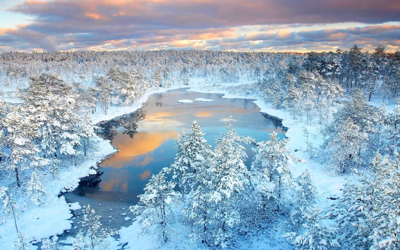 snow capped trees and lake winter forest reflection nature 2k