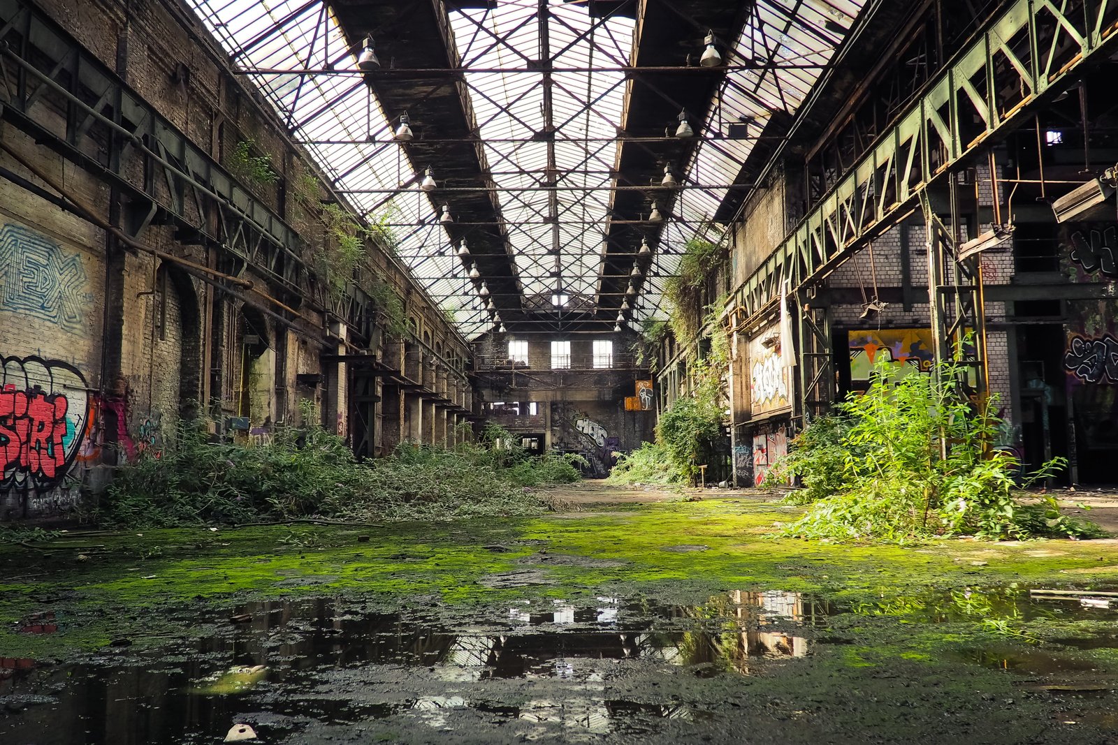 green potted plants and abandon house lost places rooms leave 2k 4k 5k
