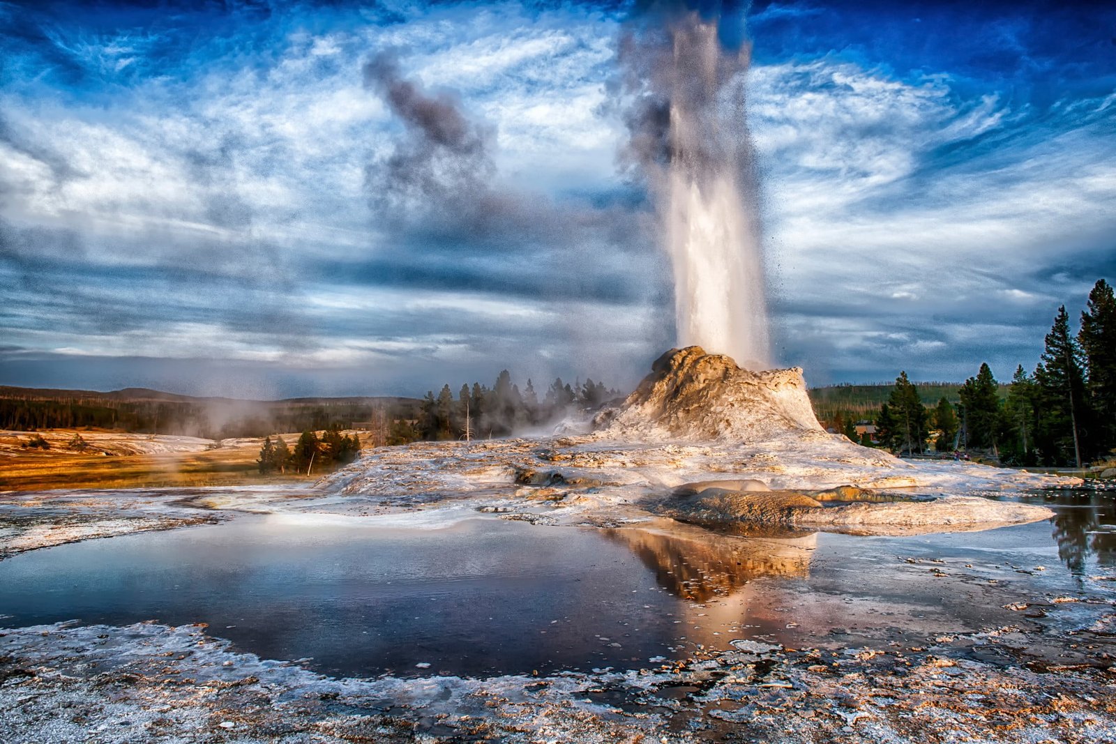 beige geyser nature landscape trees geysers water Wyoming 2k