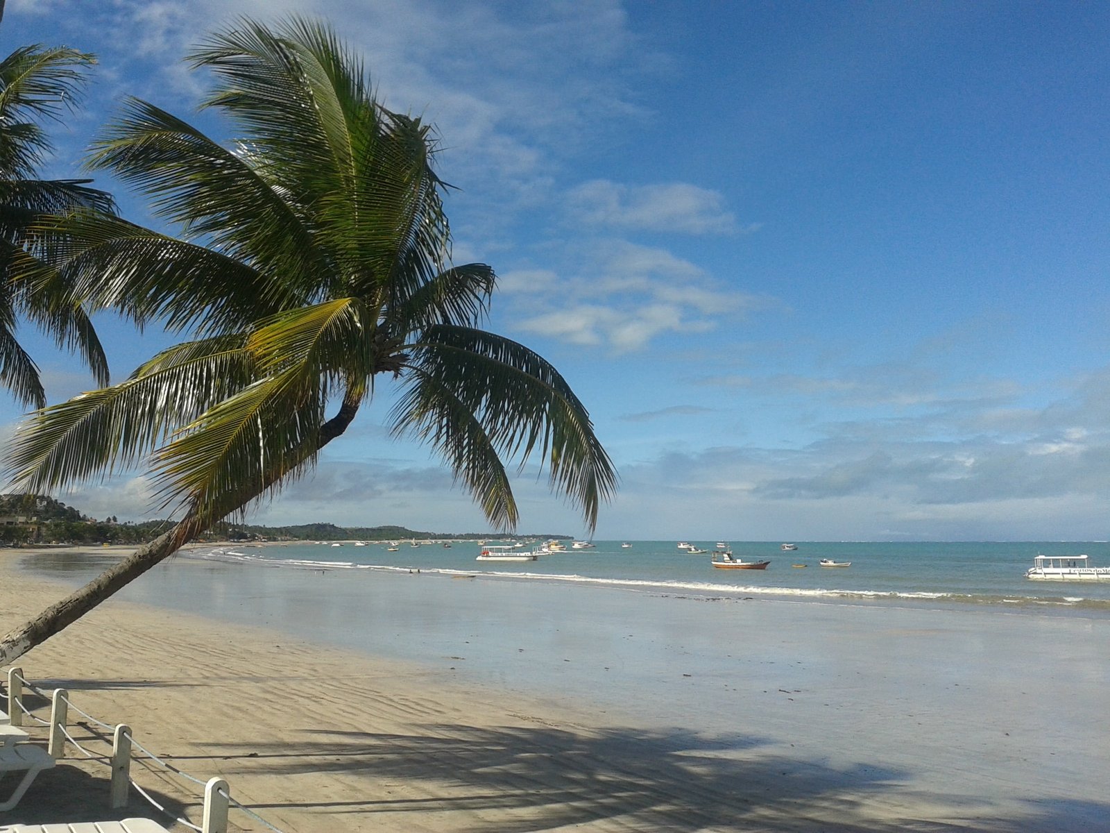 alagoas maragogi brazil northeast huh sol beach palm trees 2k