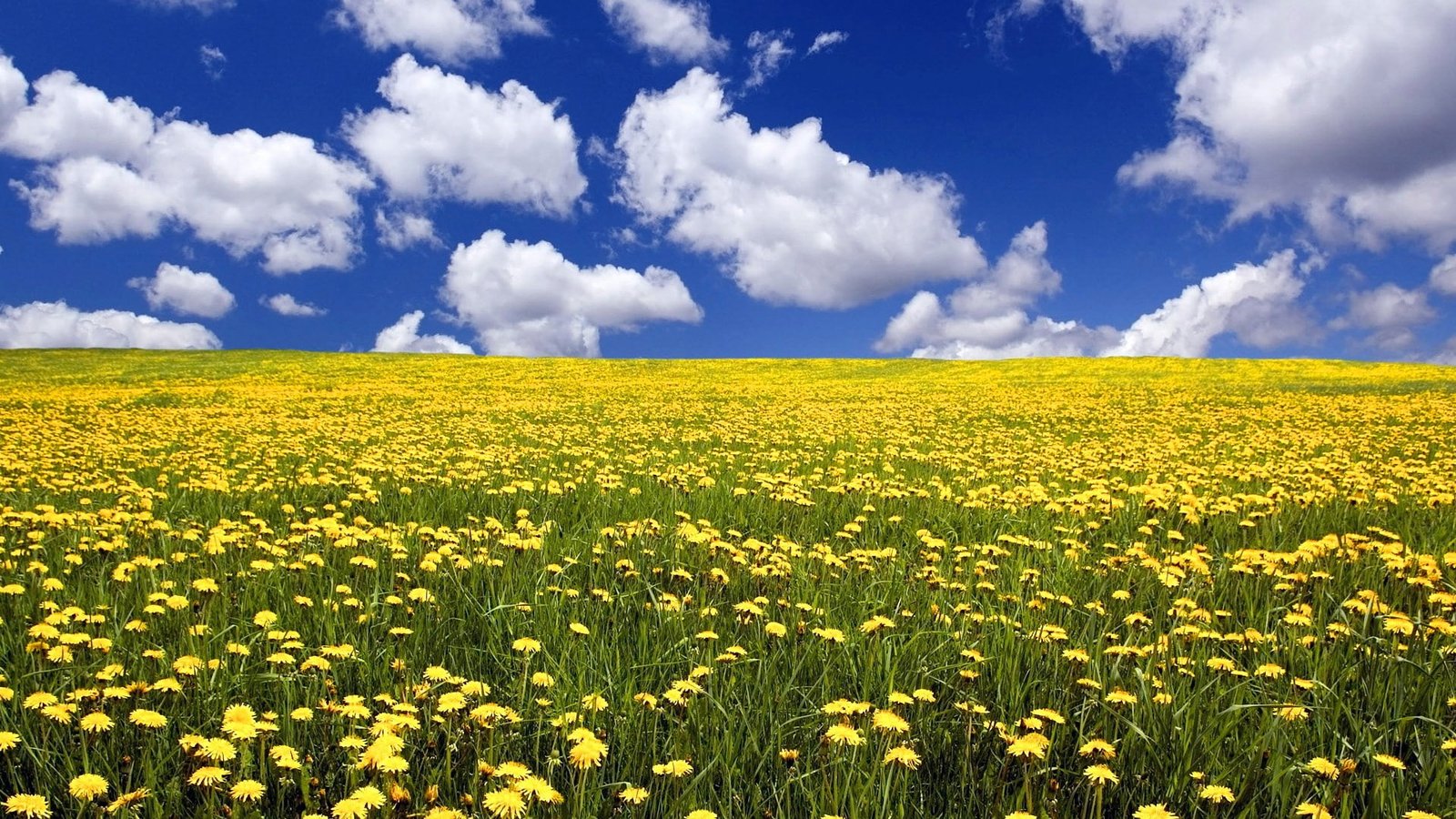 for desktop nature scenes beautiful scenery cloud sky 2k