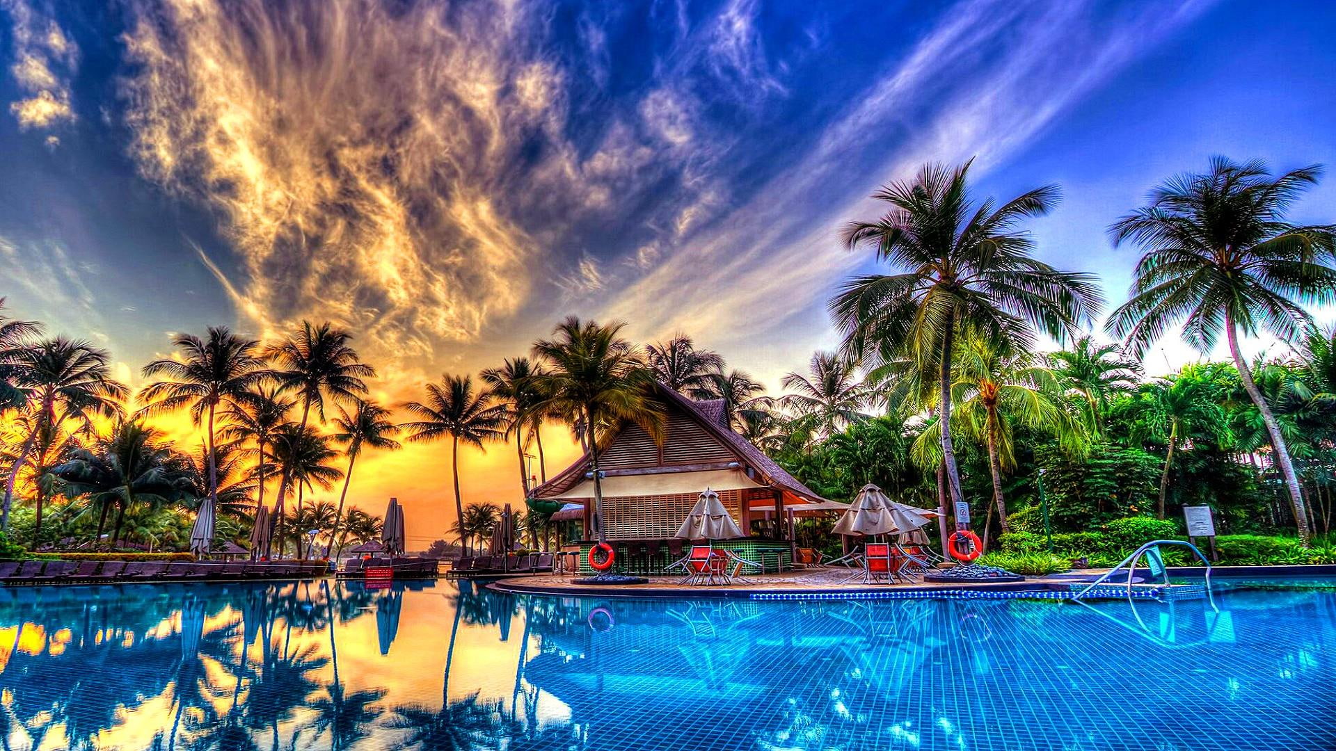 palm tree beach umbrellas swimming pool palms summer holiday 2k