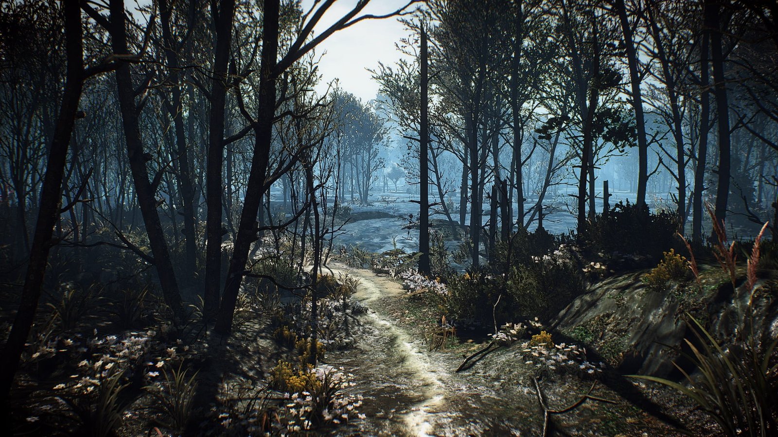 withered trees The Witcher 3 Wild Hunt video games plant 2k