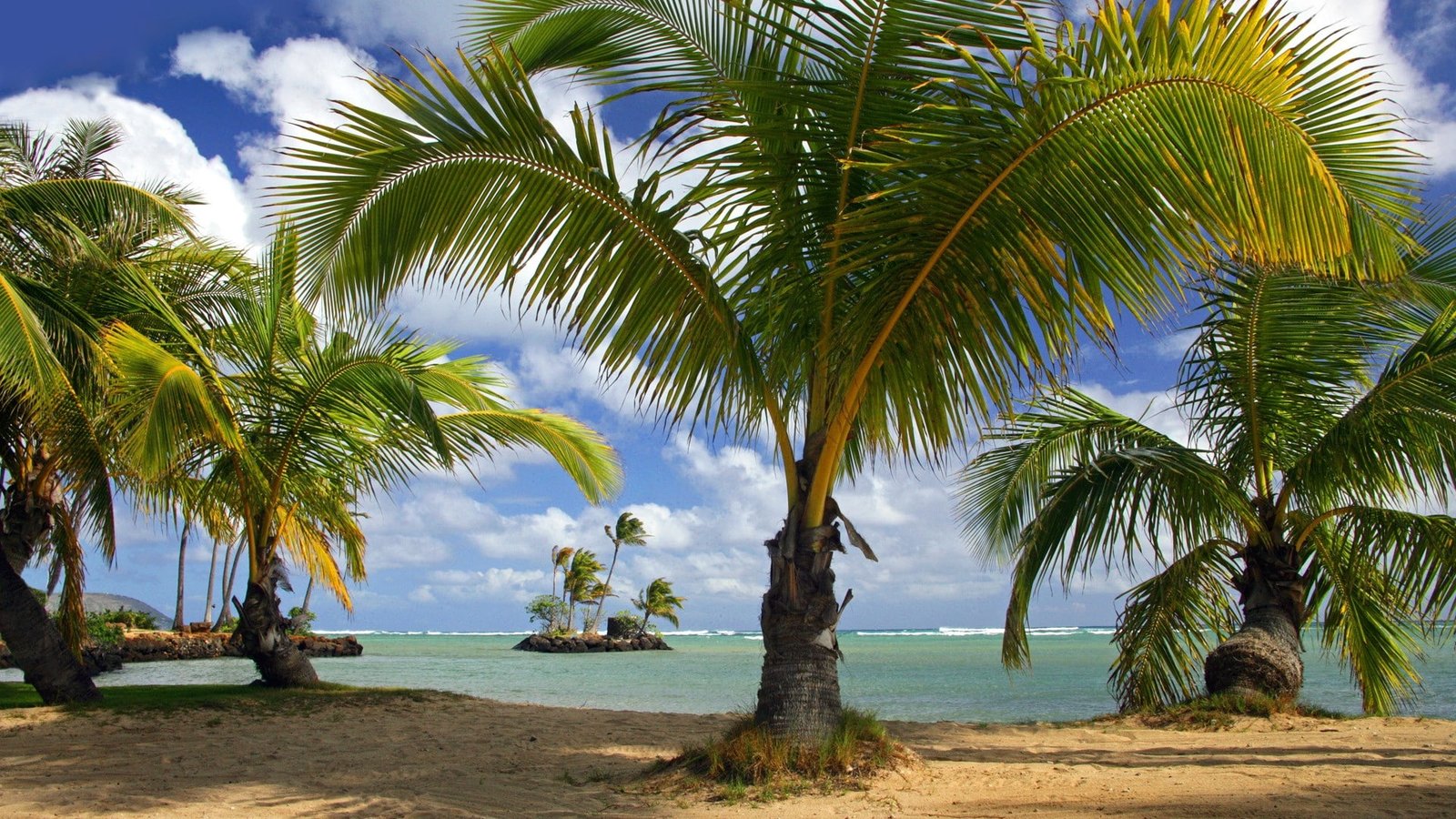 beach hawaii tropical parks oahu Nature Beaches HD Art 2k