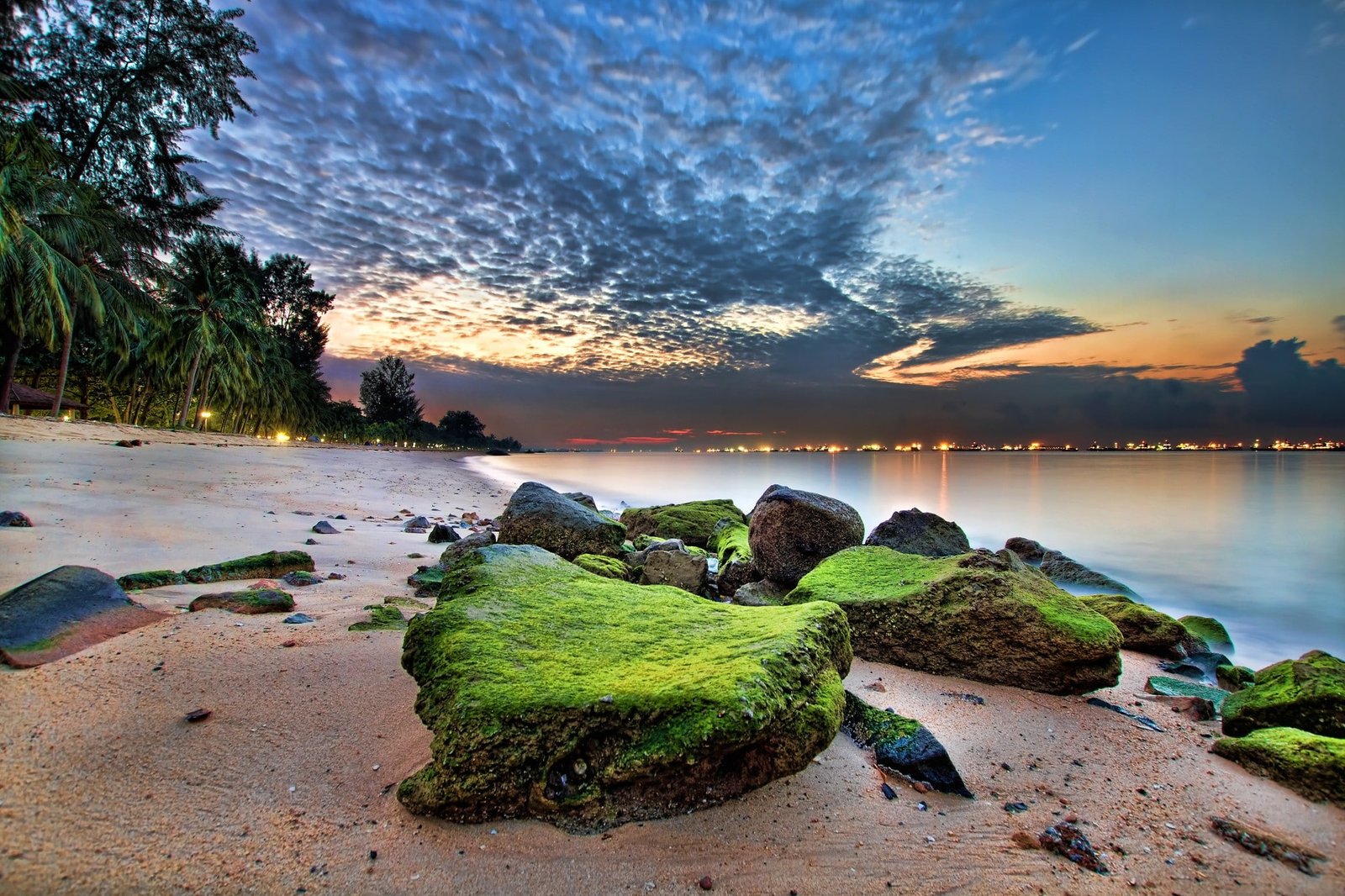 beach palm trees sand sea clouds Singapore rock nature 2k