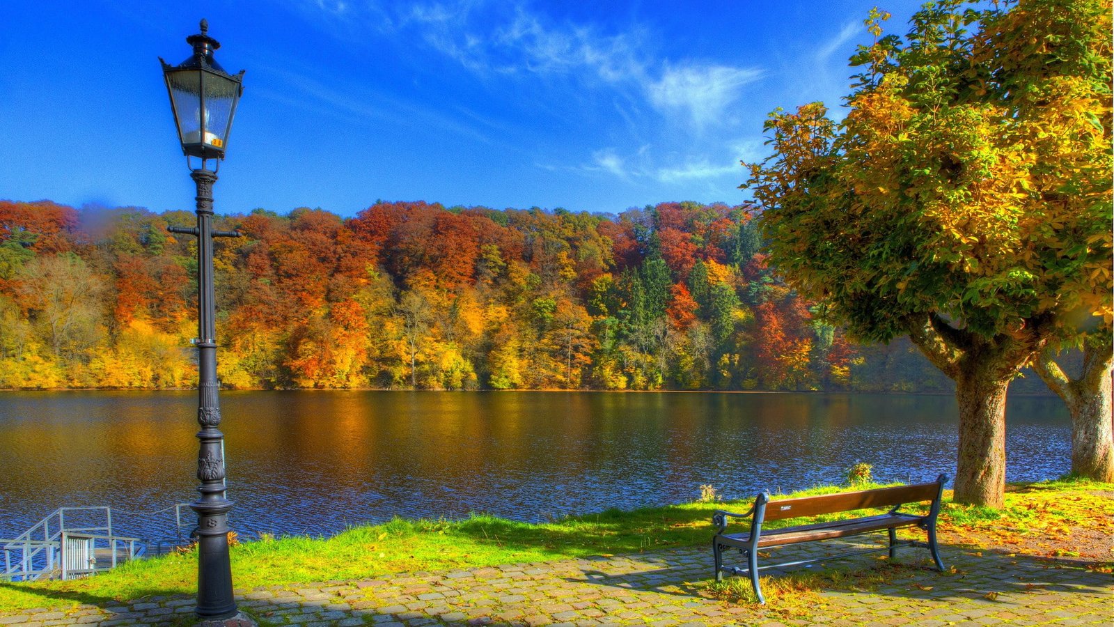 best pictures of nature hd picture autumn tree 2k