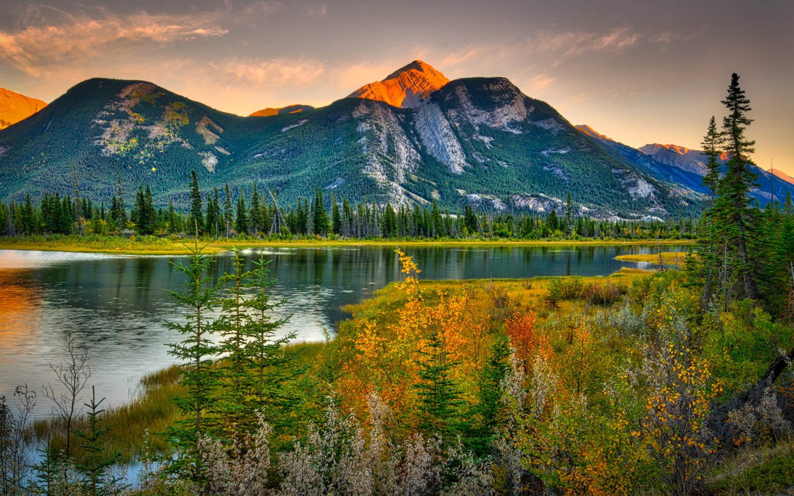Natural Beauties Canada Landscape Rocky Mountains Pine Forest River Hd Wallpaper High Contrast 2k