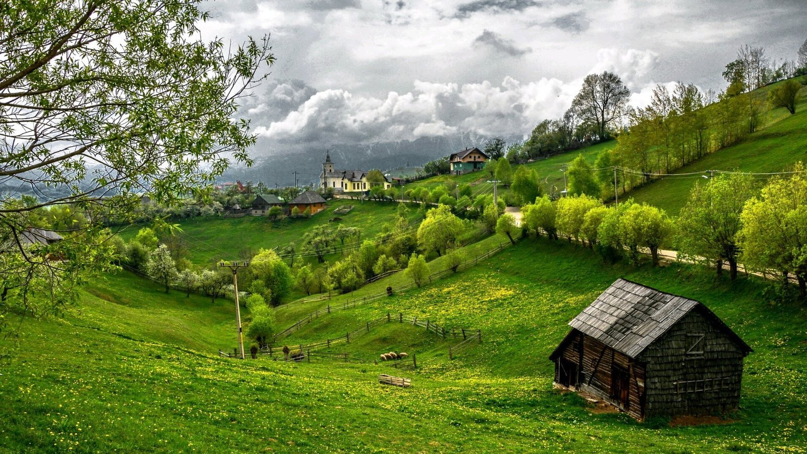 nature landscape grass sky summer rural tree meadow 2k