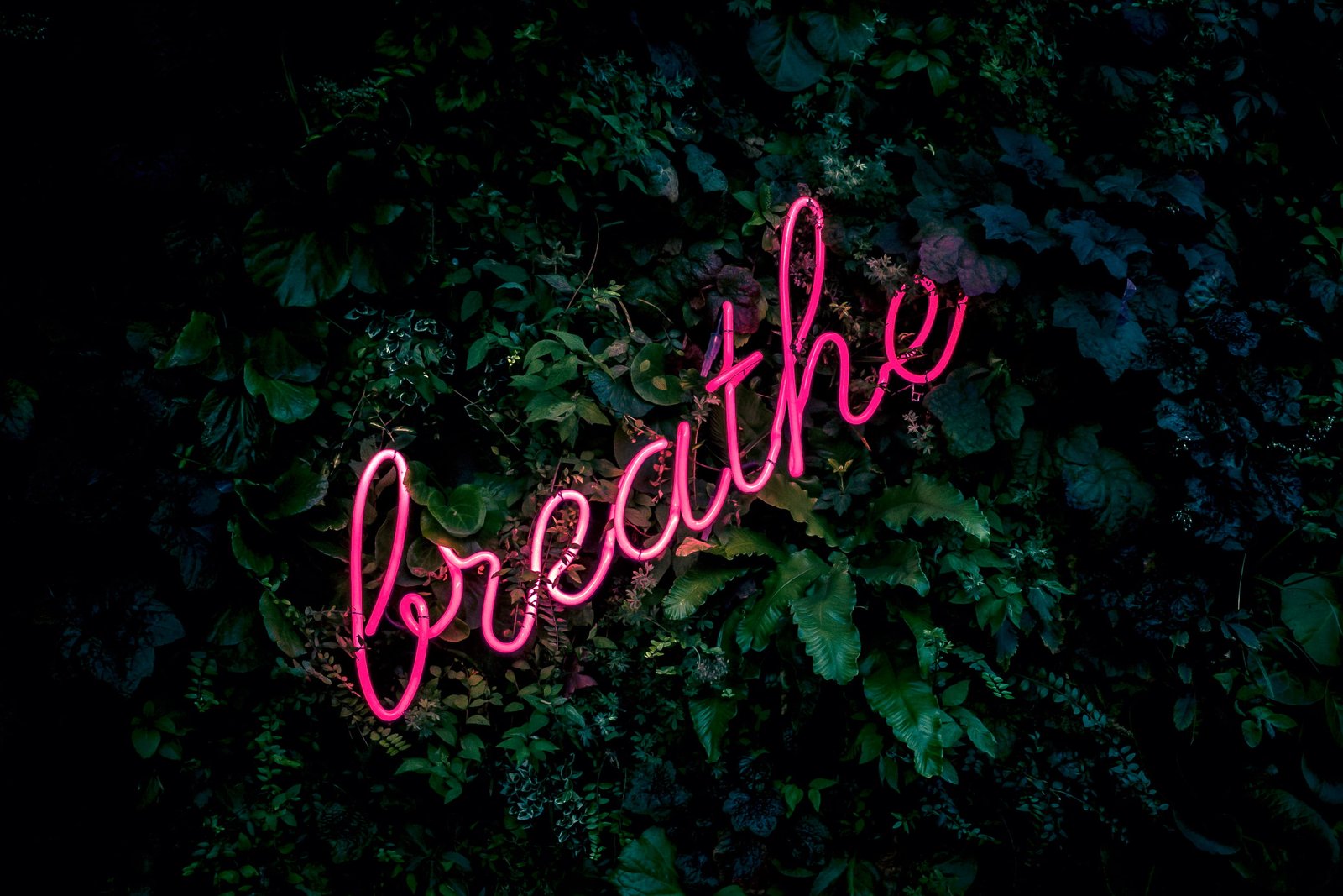 pink breathe neon sign BREATHE signage typography glow 2k