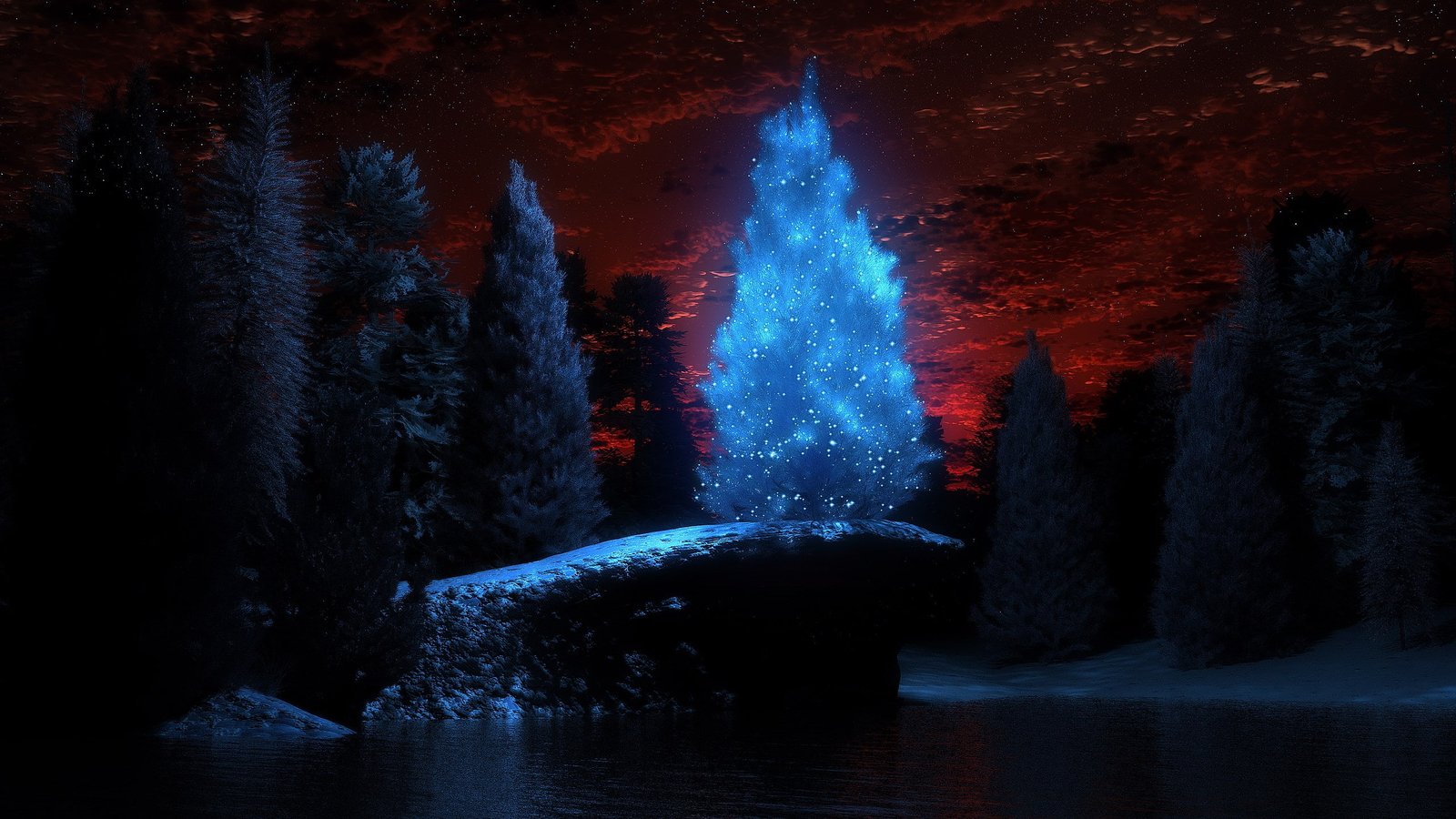 widescreen nature night water tree illuminated 2k