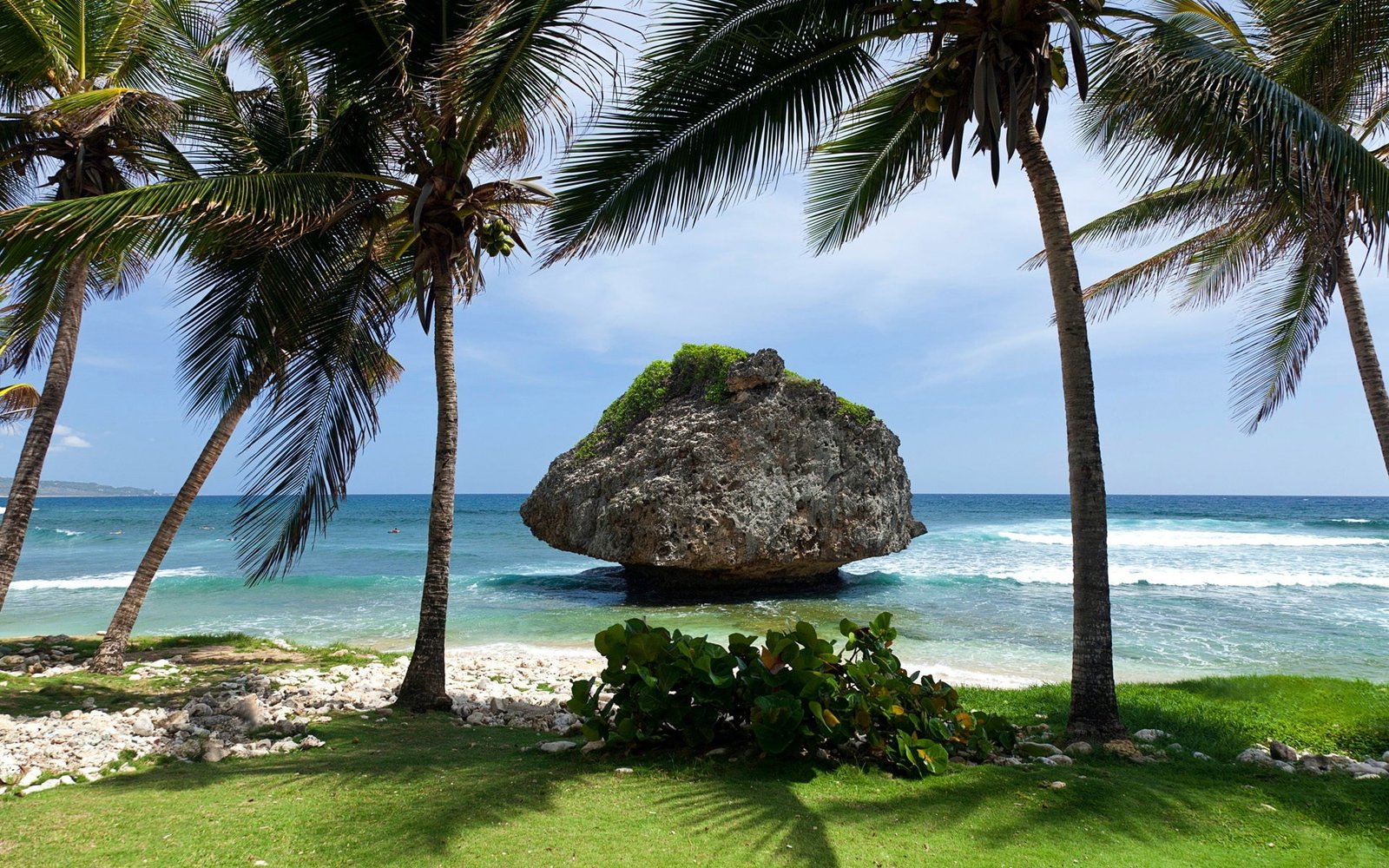 Tropical scenery island sea stone palm trees 2k