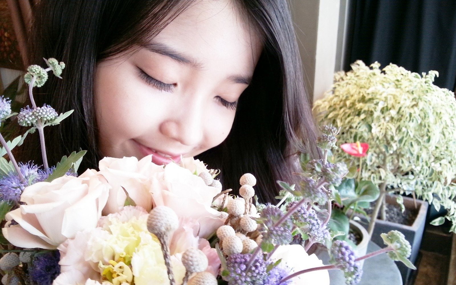 Singers IU Korean 2k Lee Ji-eun