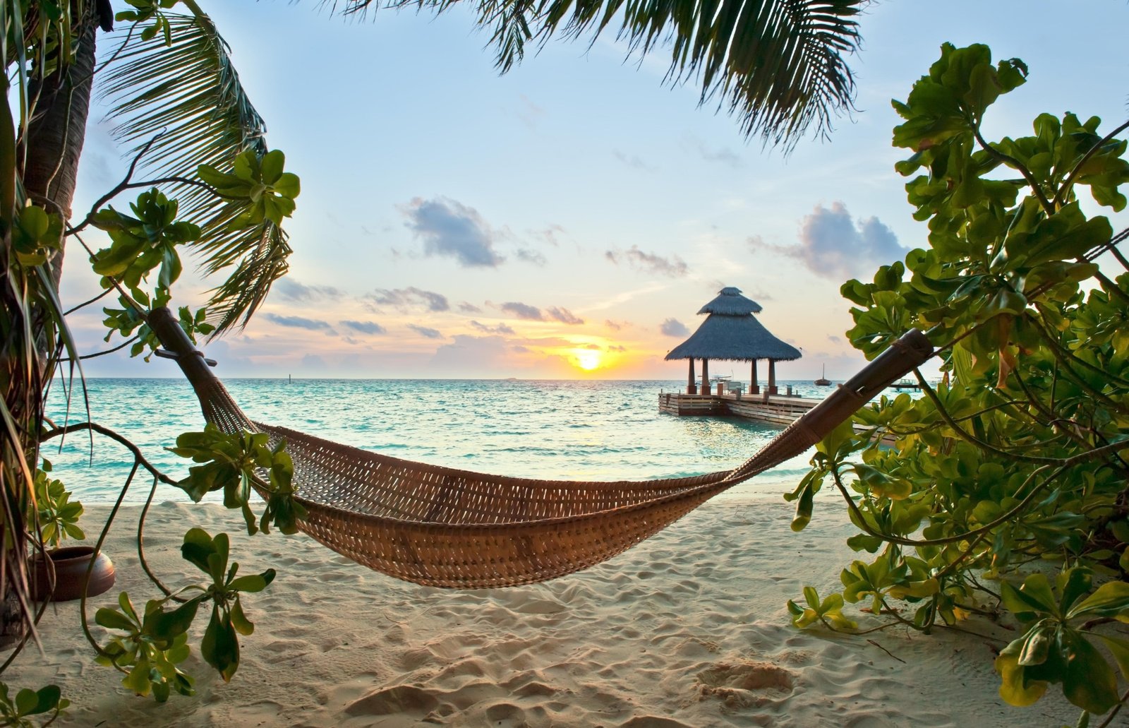 tropics beach sand hammock holiday palm 2k 4k