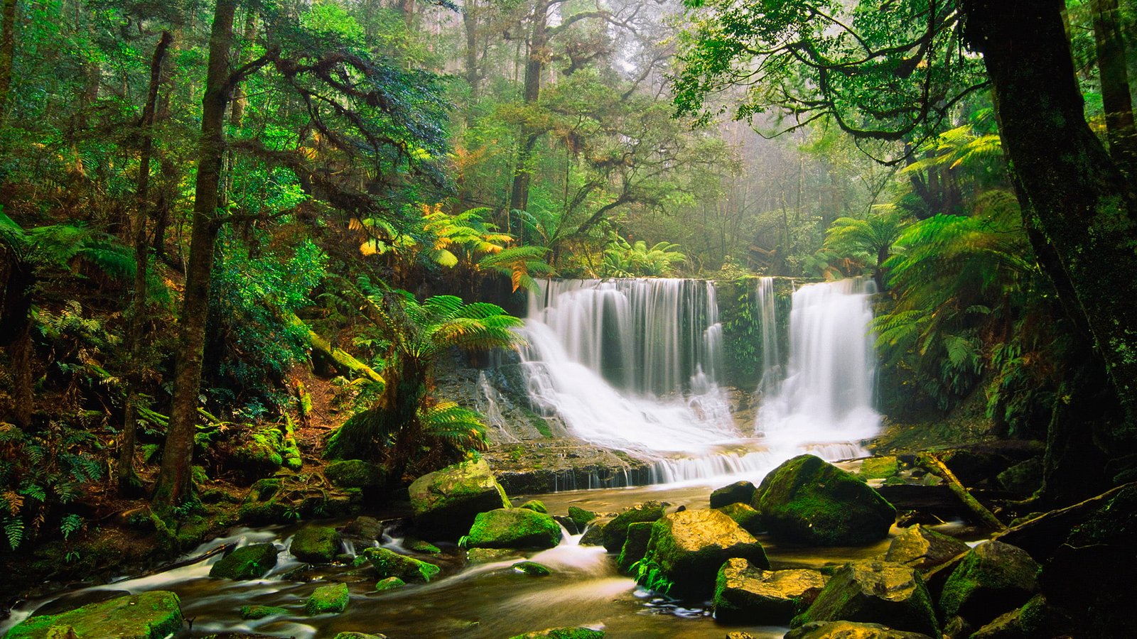 Waterfall Jungle Forest Rocks Stones Moss HD nature 2k