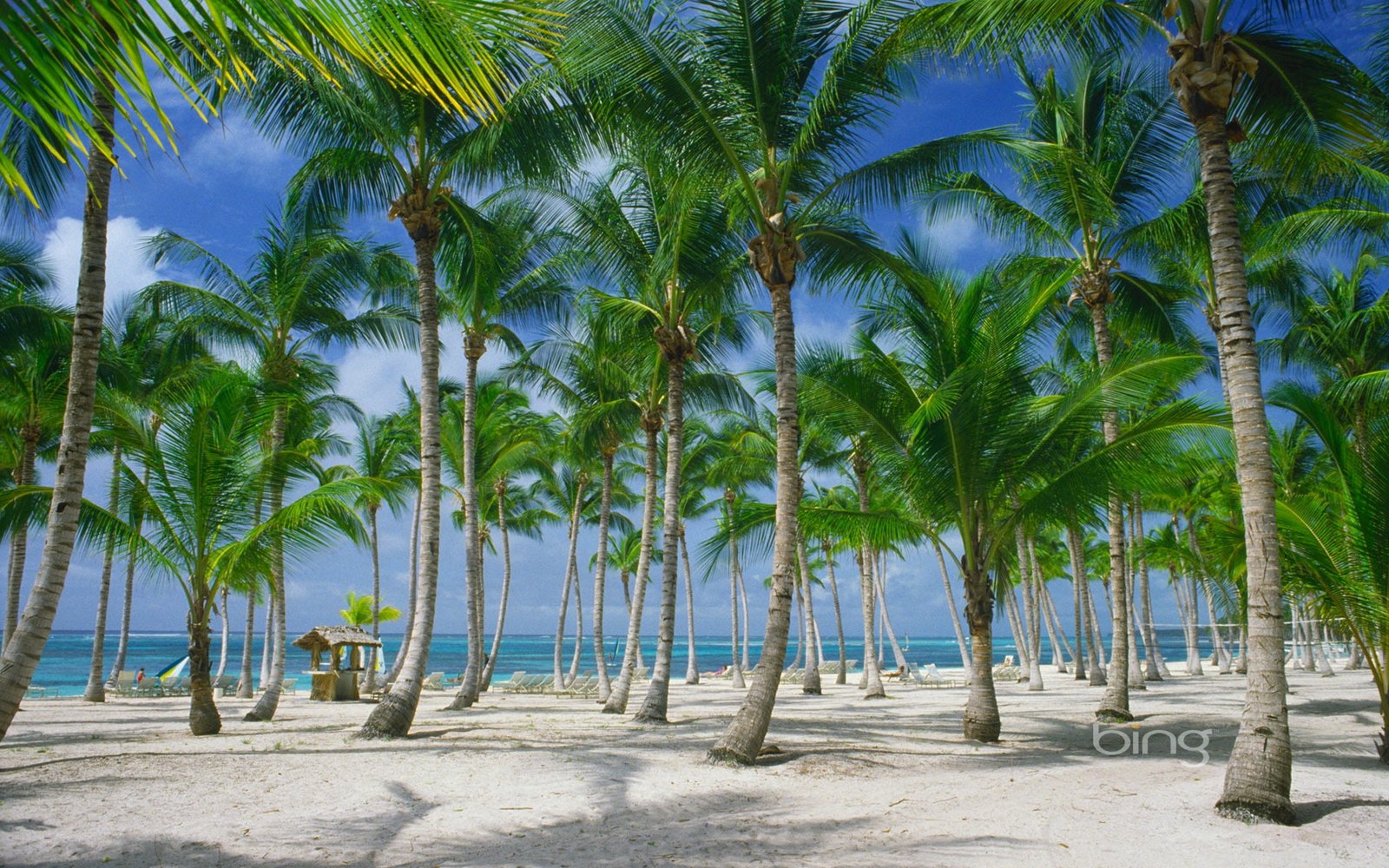 bing microsoft Bing s Best 3 Nature Beaches HD Art 2k