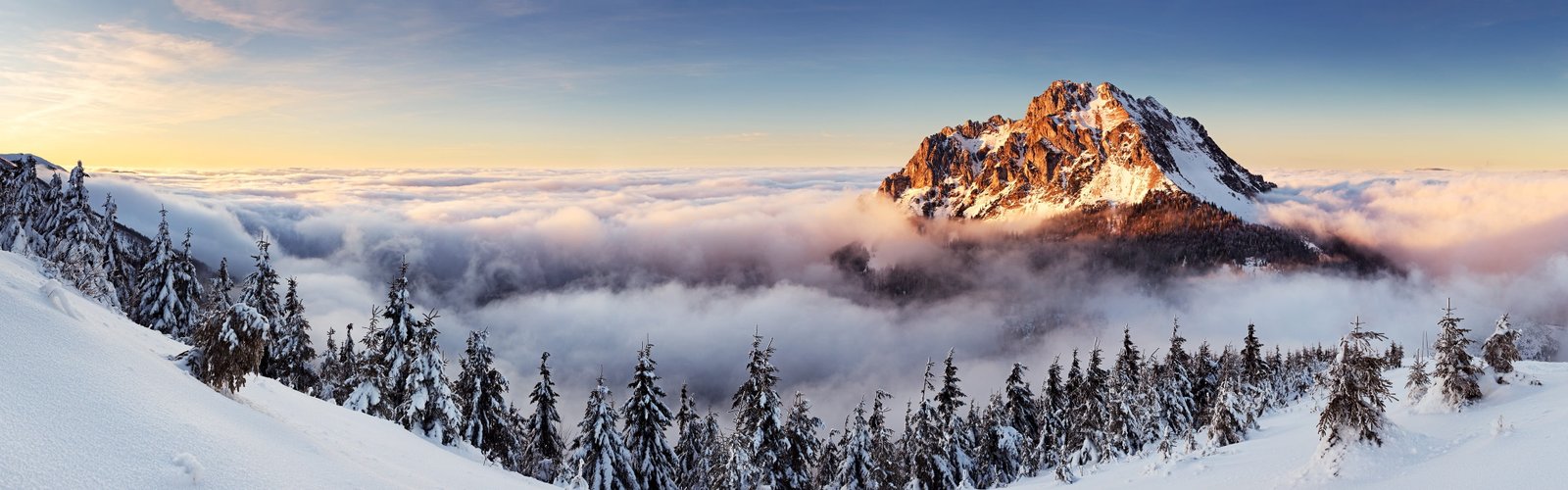 mountain covered white snow landscape mountains mist pine trees 2k 4k