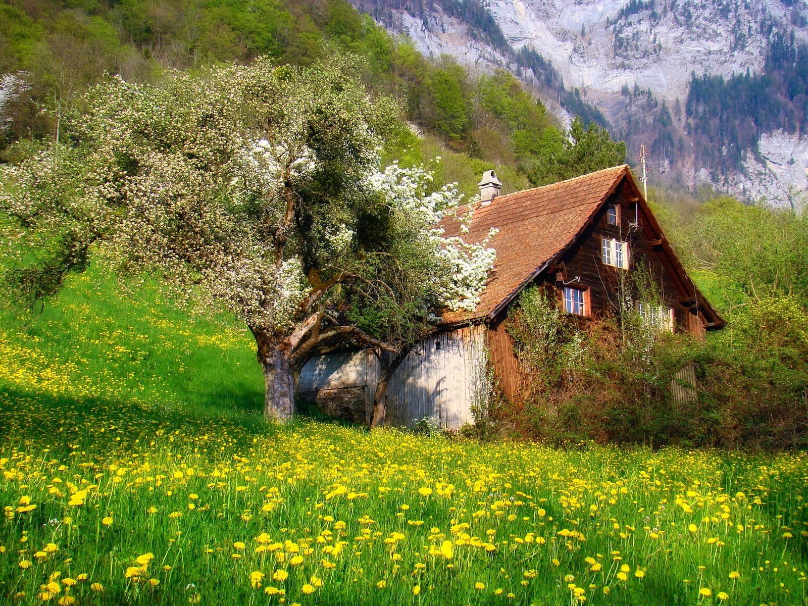 brown house photography nature landscape cottage flowers 2k