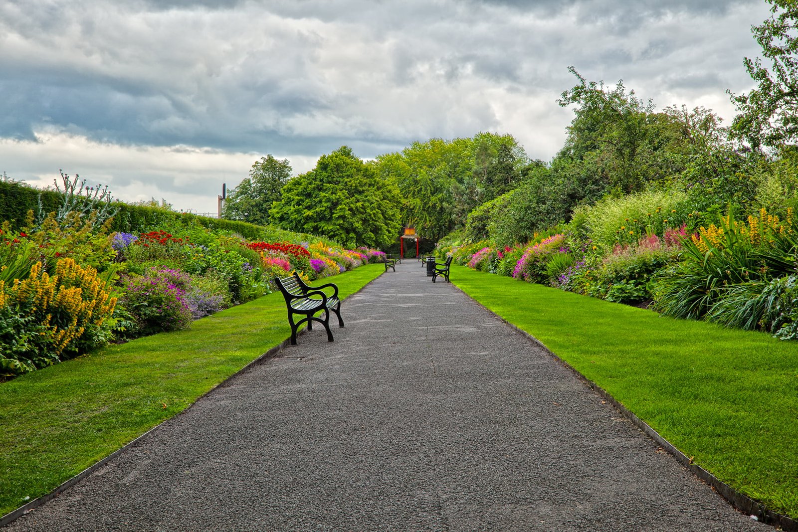 landscape photography of bench in pathway Belfast Botanic Gardens 2k