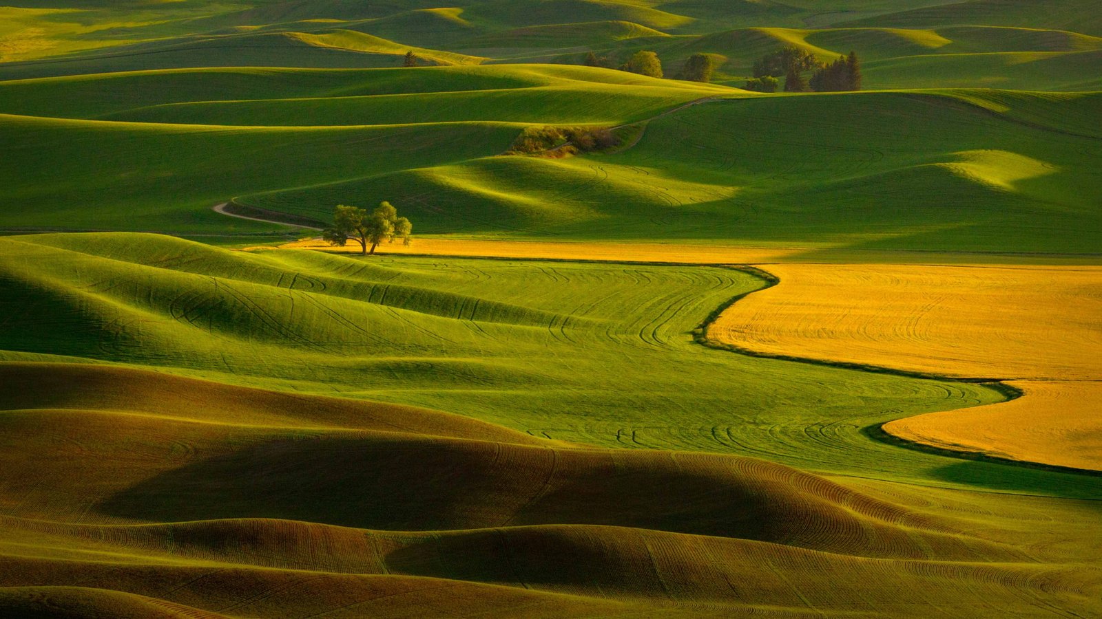 landscape photography of green farm field tennessee 2k 4k